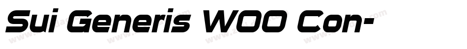 Sui Generis W00 Con字体转换